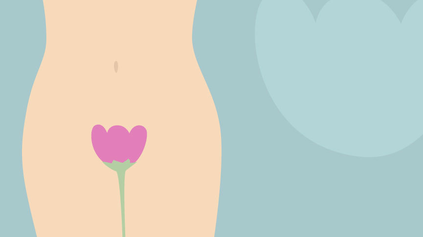 Todo lo que tienes que saber sobre la vulva